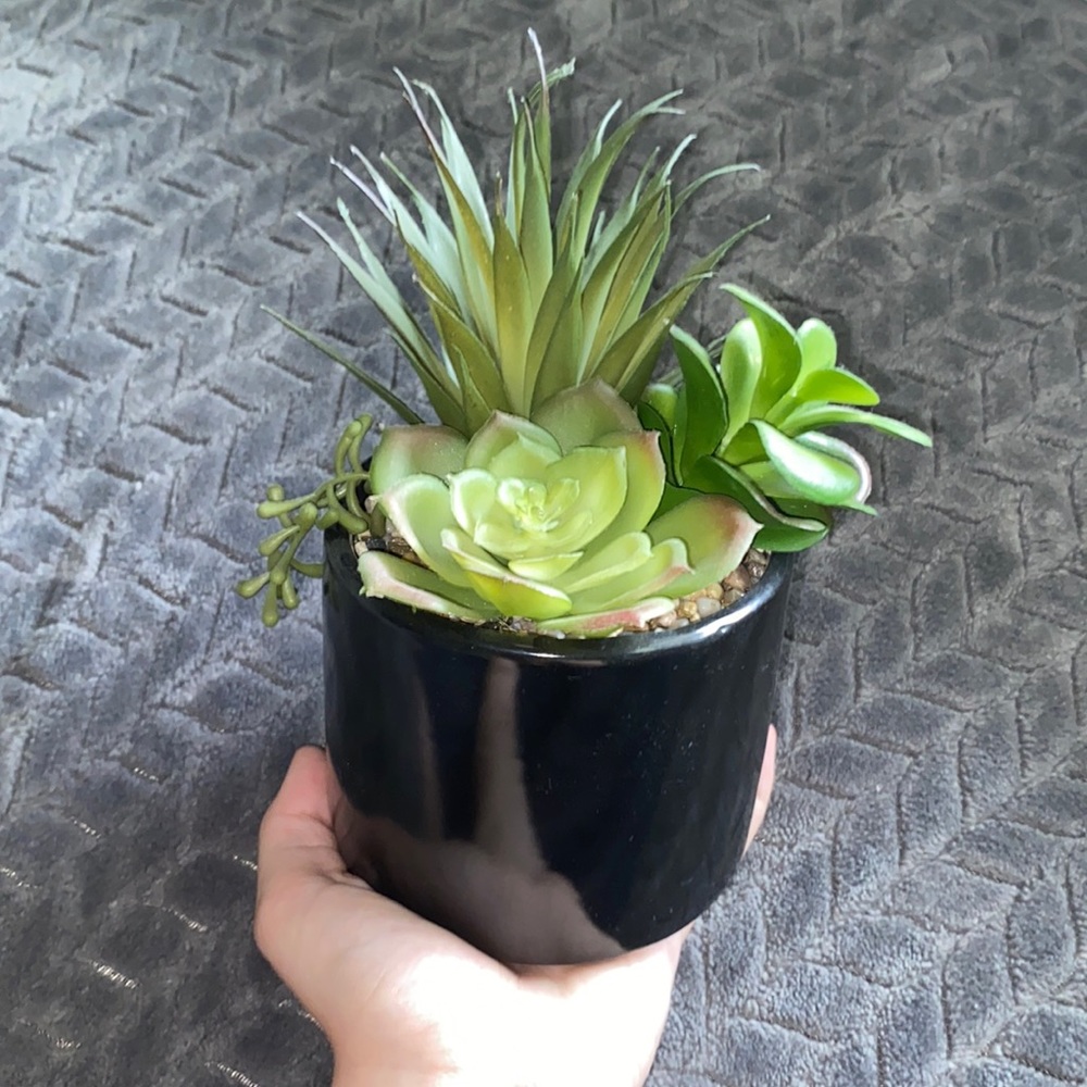 Fake Plant